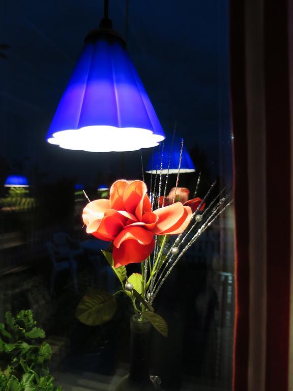 Hotel Dessans Cafe & Logi Pello Pokój zdjęcie